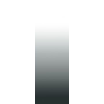 fototapet  gulv til loft dip dye gradient sort og hvidt