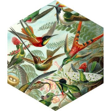 wallsticker fugle tropisk junglegrønt