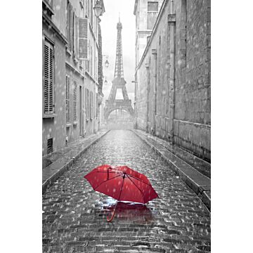 fototapet  Paris sort-hvid-rød paraply gråt og rødt