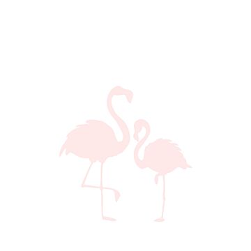 fototapet  flamingoer mor og barn lyserosa og hvidt