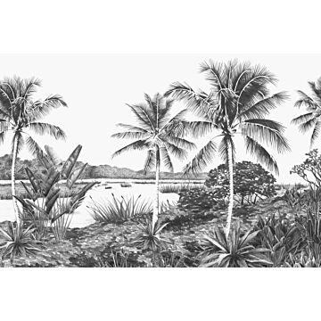 fototapet  tropisk landskab med palmetræer sort og hvidt