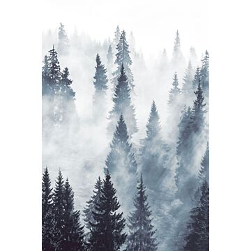 fototapet  tåget skov grønt