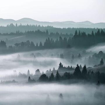 fototapet  tågede bjerge grønt